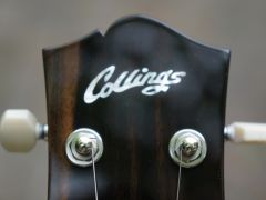 Collings 290 DC00001497
