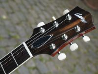 collings i35lc ps