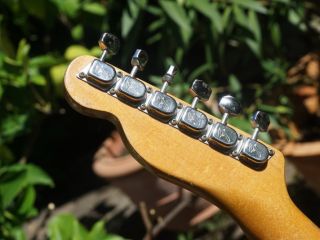 f thinline 68