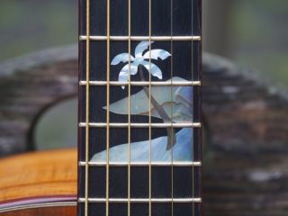 goodall full koa