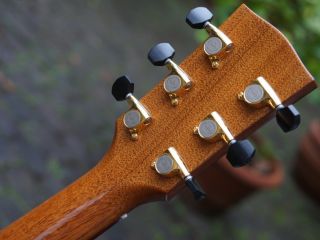 goodall full koa