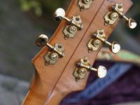 gretsch 6121