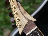 hartung flying v