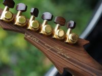 hartung flying v