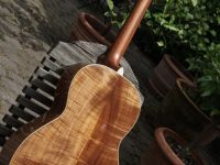 joe striebel oo koa00003286
