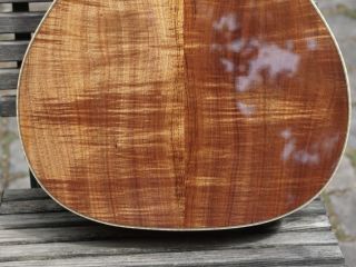joe striebel oo koa00003288
