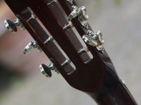 larson maurer koa 