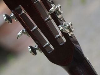 larson maurer koa 