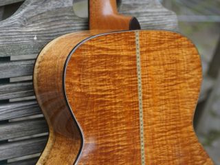 larson ooo koa