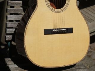 striebel oo coco 